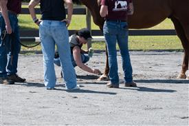 LR-WRF 08022025-Retreat-3131